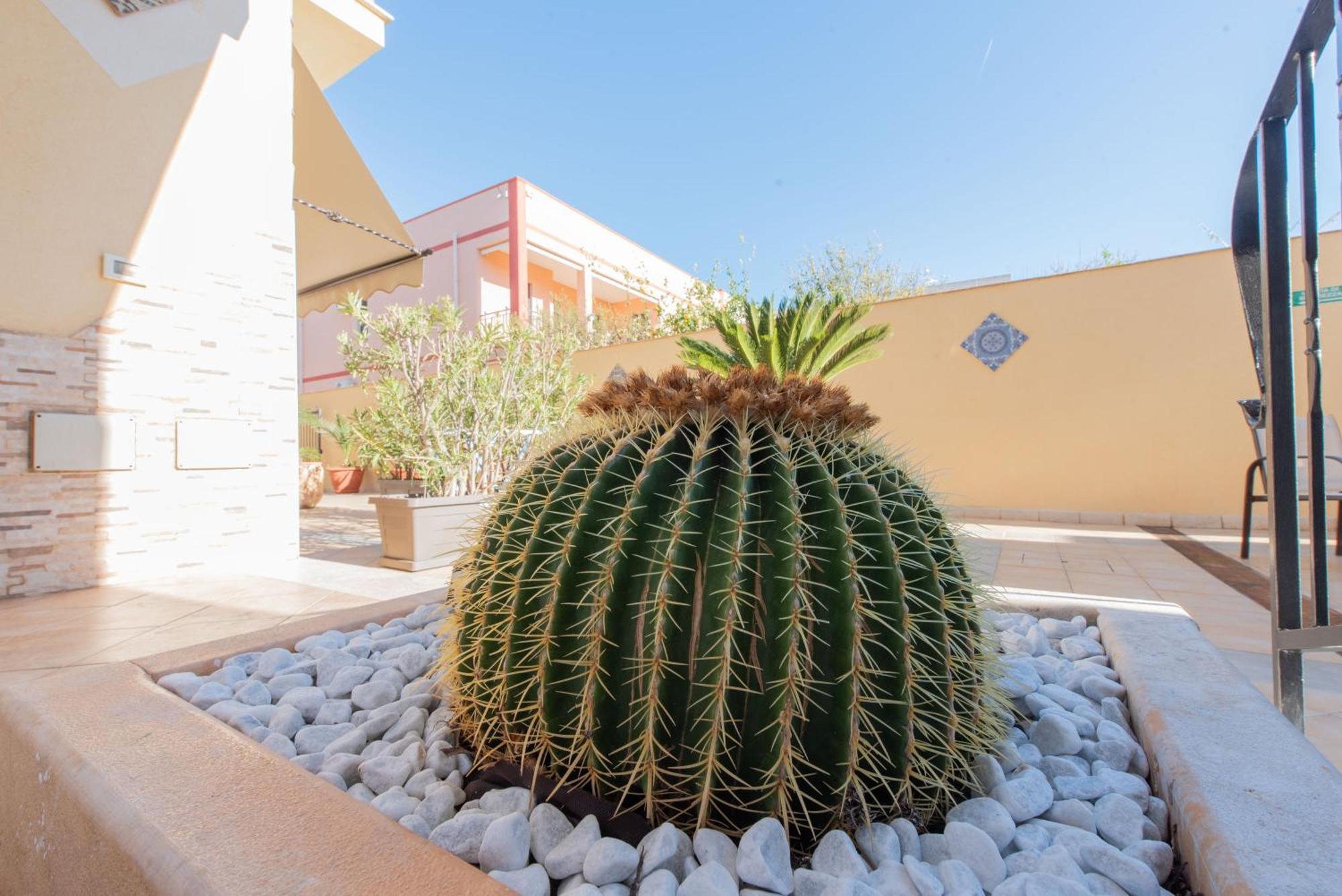 Room & Breakfast Aloe San Vito Lo Capo Bagian luar foto